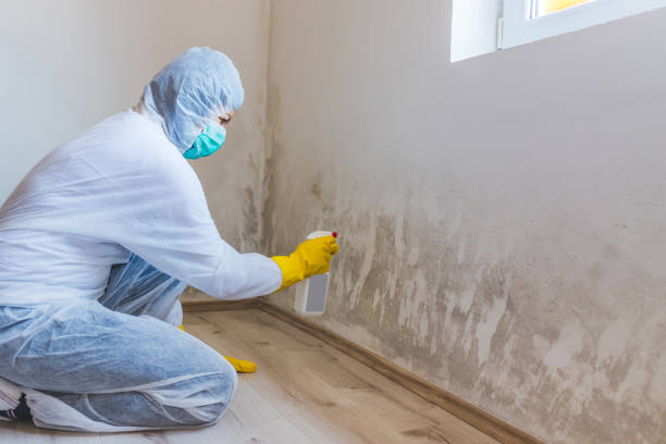 Licensed Mold Inspection And Testing service in Lincoln University, PA - Mold Remediation HQ